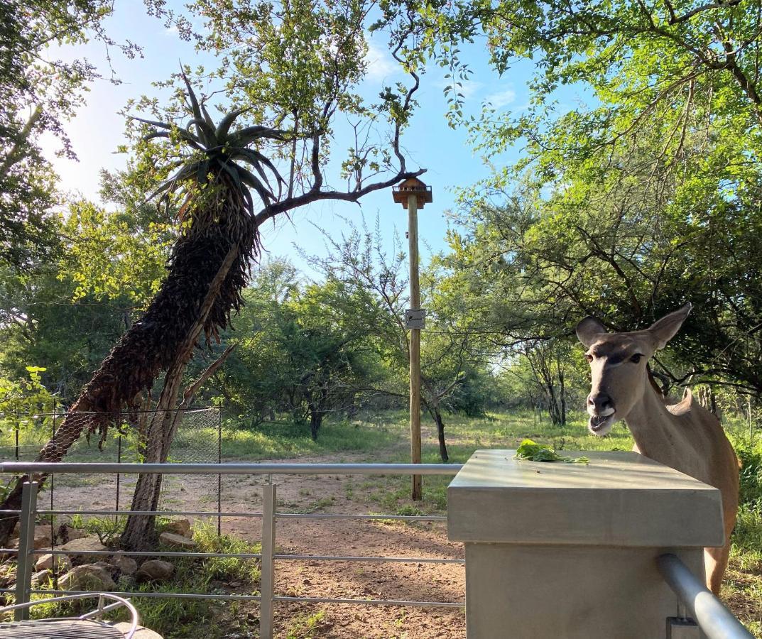 Kruger'S Keep - Luxury Couples Haven Villa Marloth Park Exterior photo